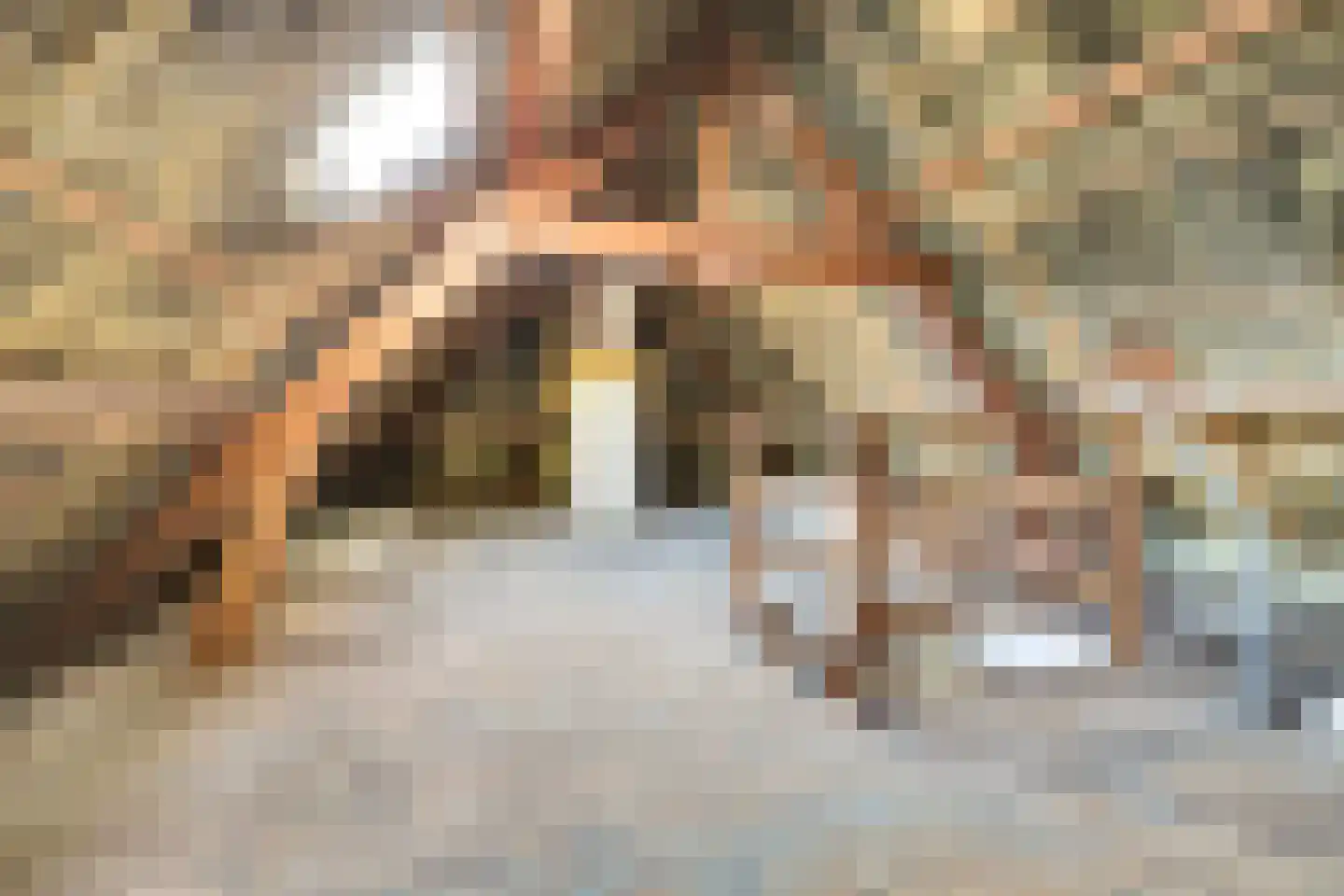 Oosterhoutseweg 8 Rijen thumbnail 24