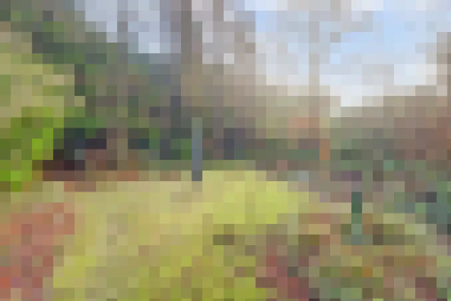 Oosterhoutseweg 8 Rijen thumbnail 33