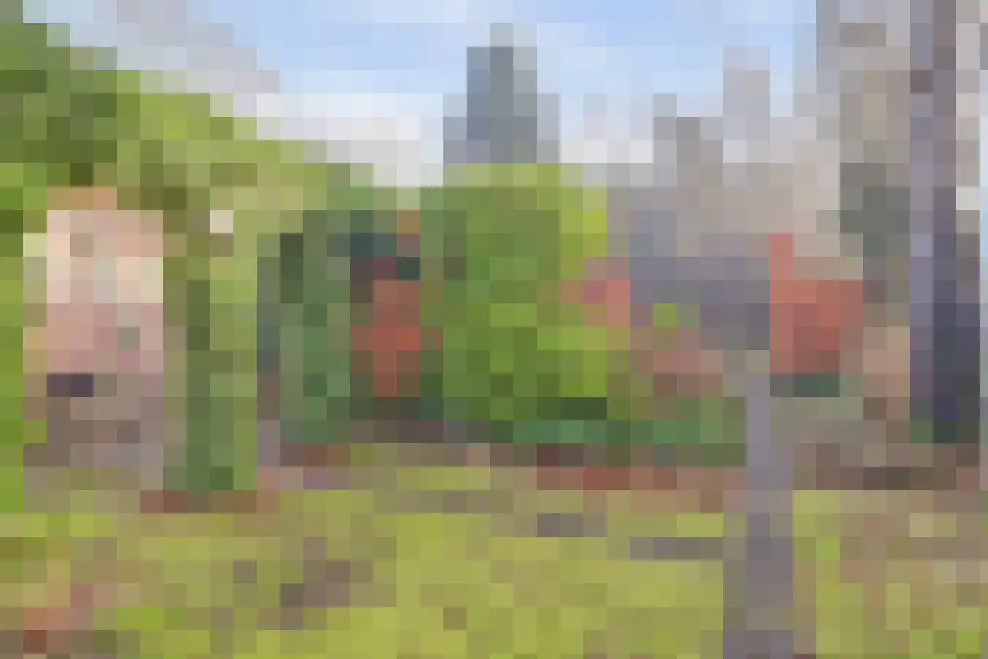 Oosterhoutseweg 8 Rijen thumbnail 34