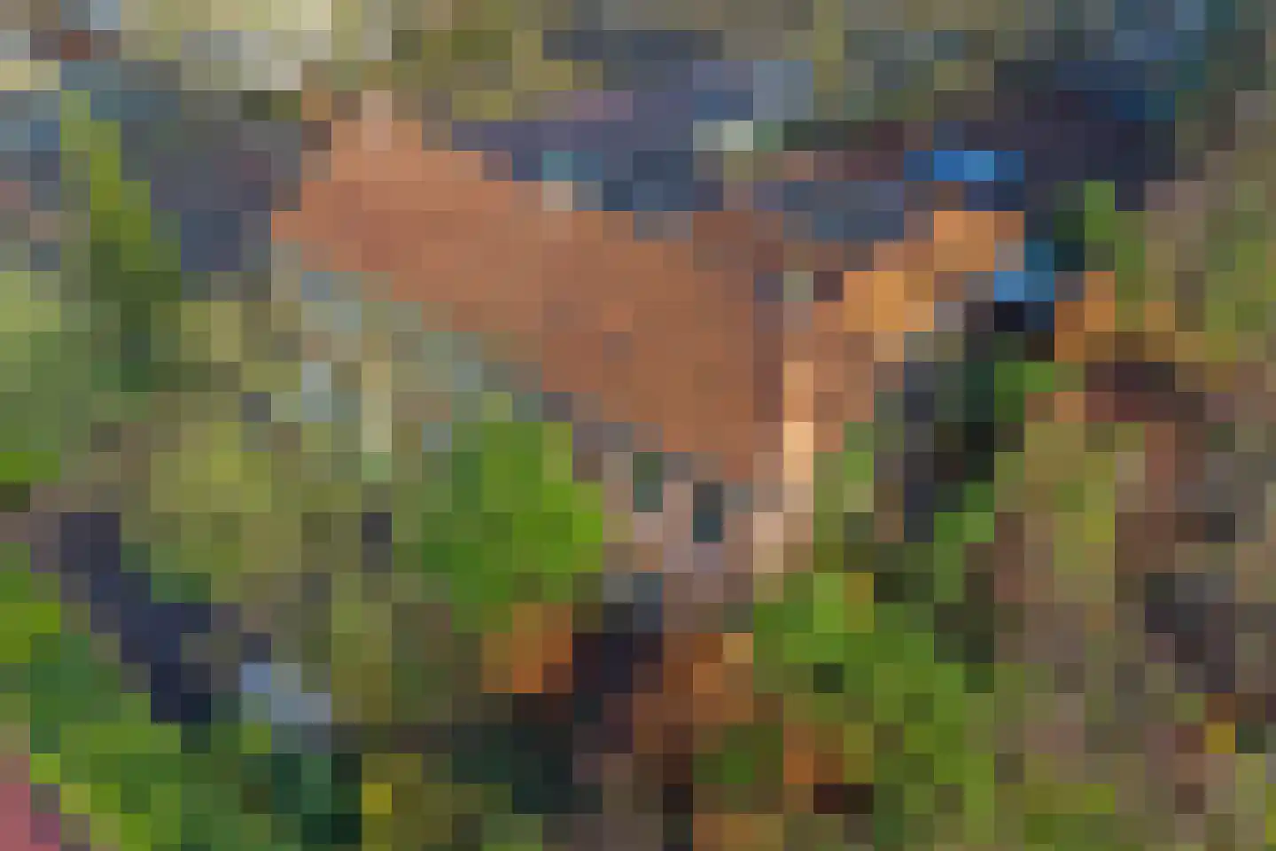 Oosterhoutseweg 8 Rijen thumbnail 38