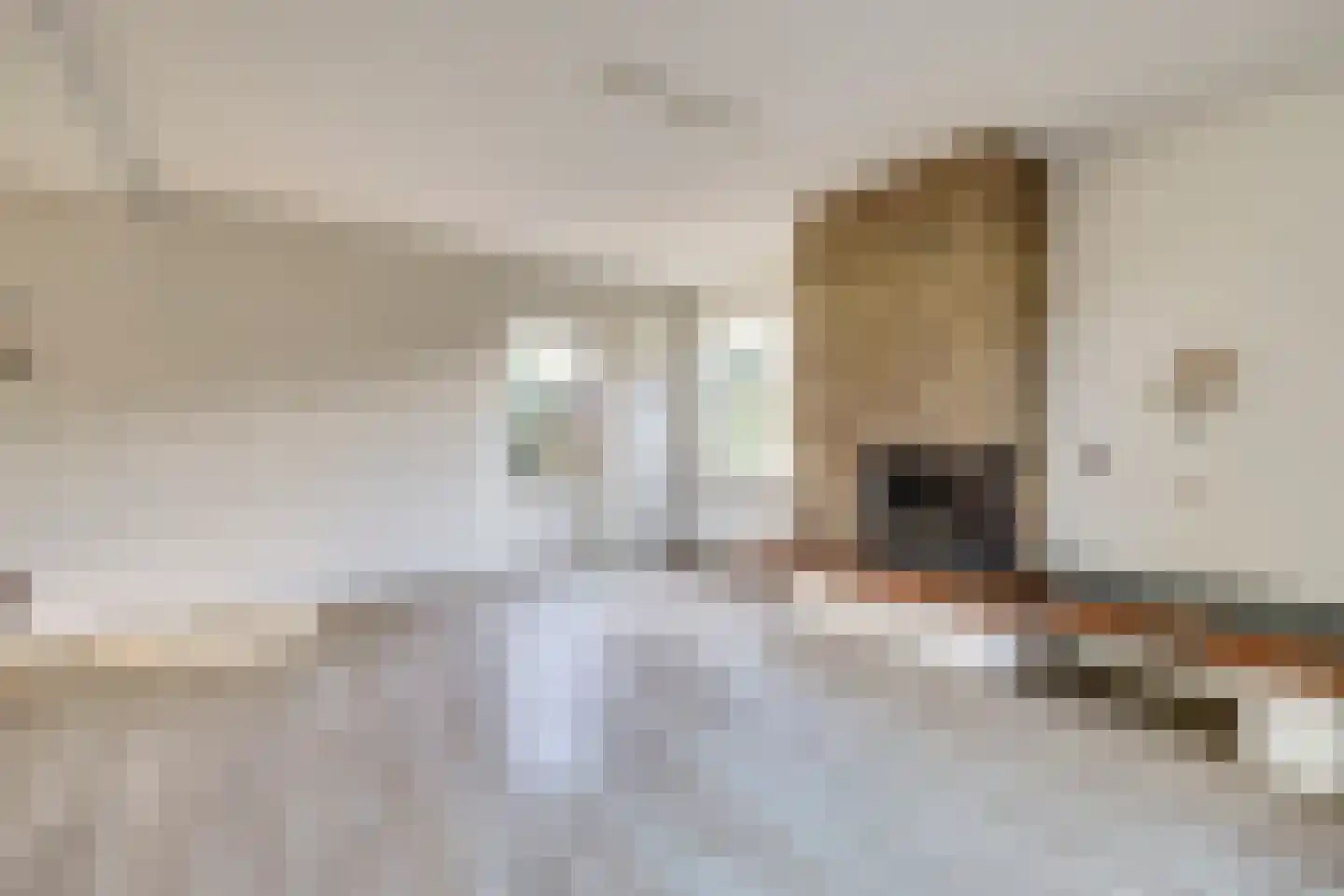 Oosterhoutseweg 8 Rijen thumbnail 7