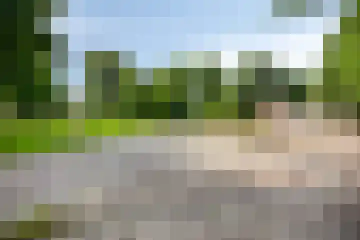 Oosterhoutstraat 36 Assen thumbnail 43
