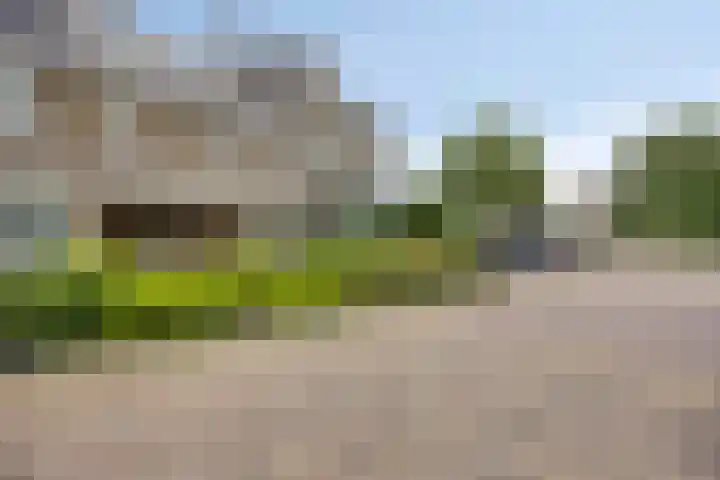 Oosterhoutstraat 36 Assen thumbnail 5