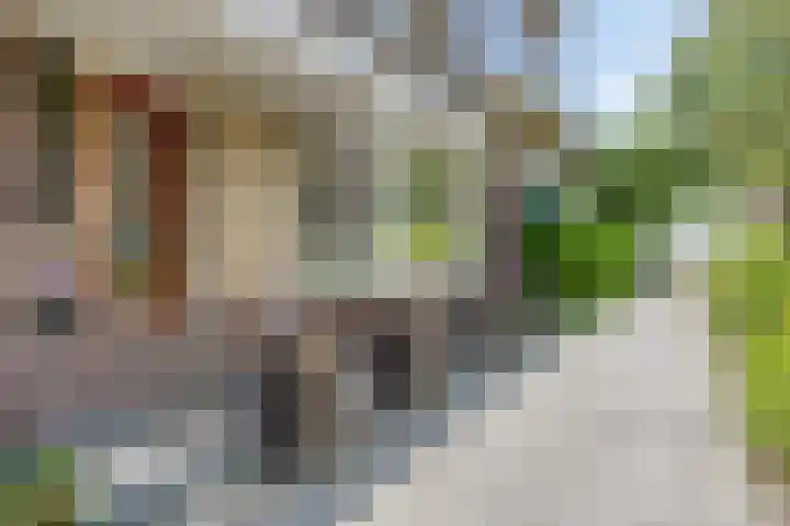 Oosterhoutstraat 36 Assen thumbnail 6