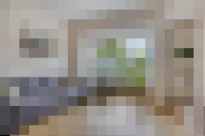 Oosterhoutstraat 36 Assen thumbnail 8
