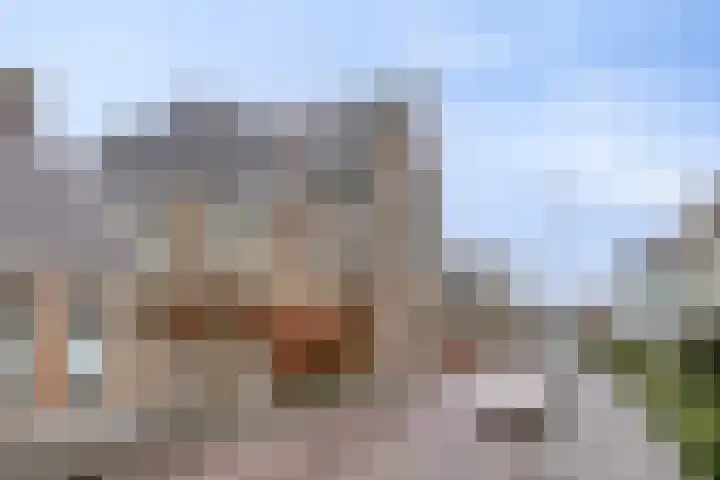 Oosterhoutstraat 42 C Assen thumbnail 48
