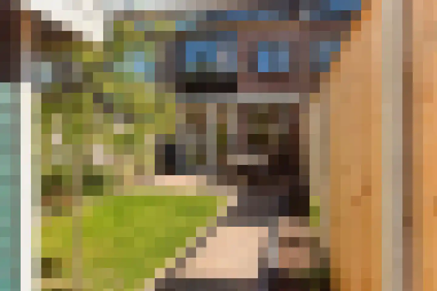 Oosterhoutstraat 79 Arnhem thumbnail 28
