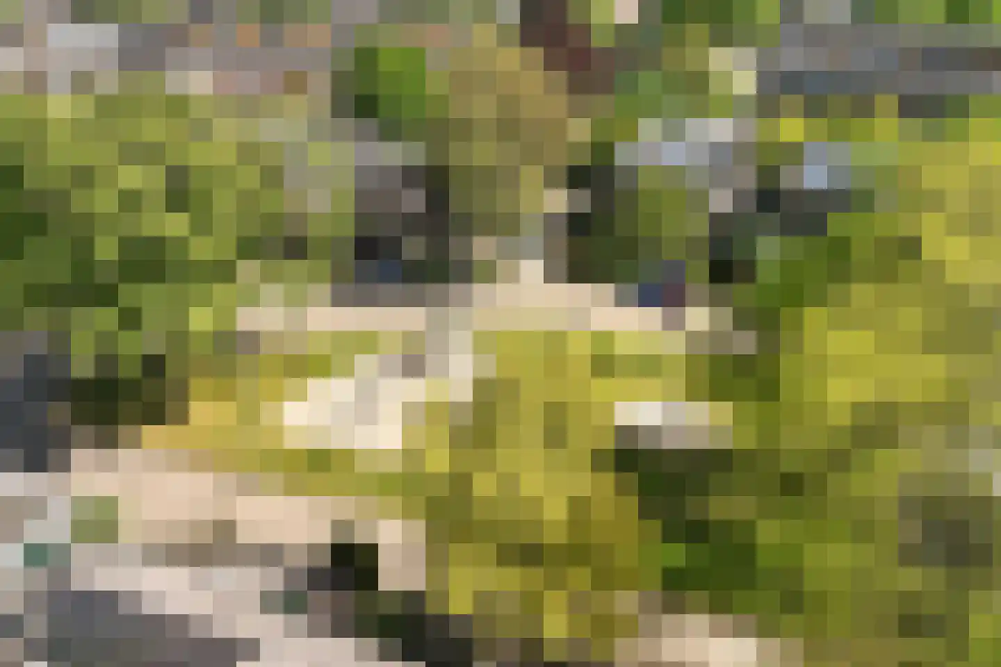 Oosterhoutstraat 79 Arnhem thumbnail 32
