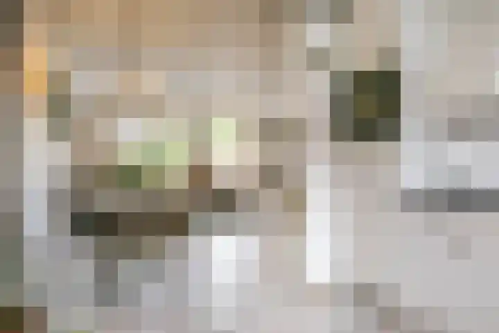 Oosterhoutstraat 8 Arnhem thumbnail 10