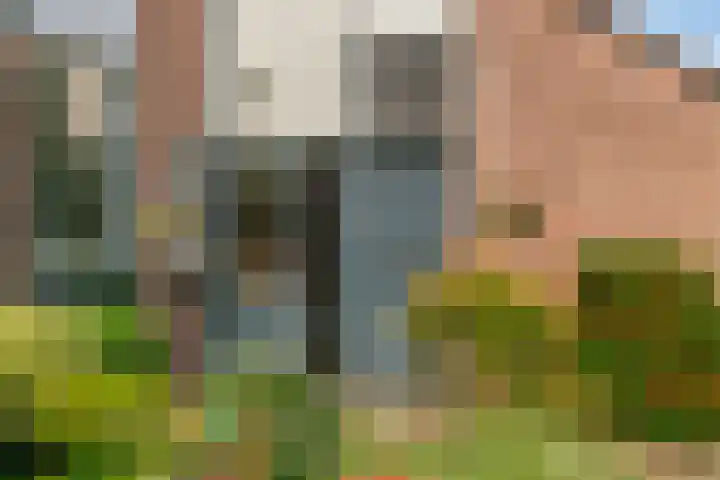 Oosterhoutstraat 8 Arnhem thumbnail 27