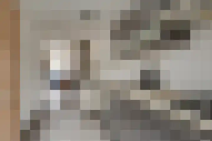 Oosterhoutstraat 85 Assen thumbnail 4