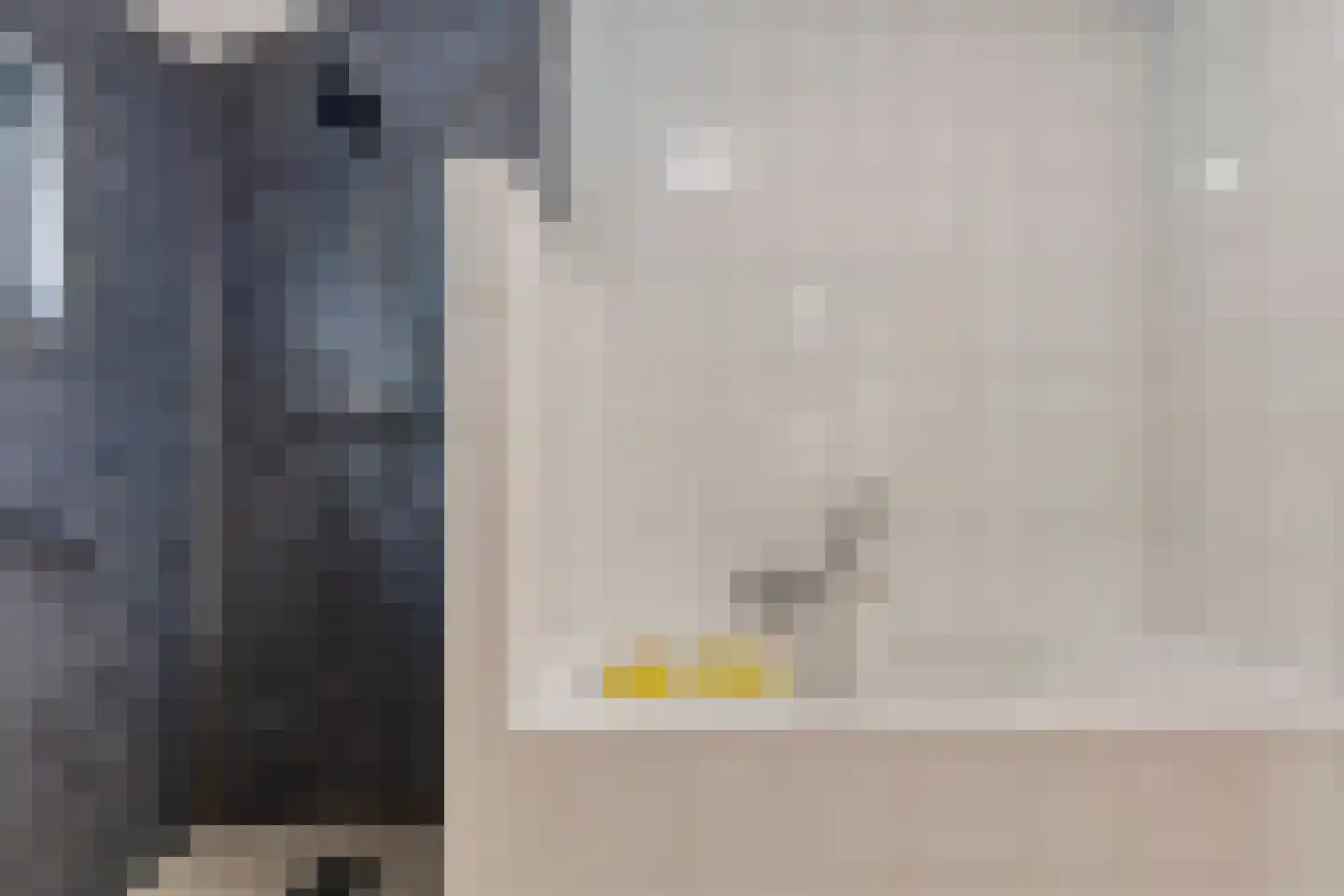 Oosterhuisweg 18 Makkinga thumbnail 24