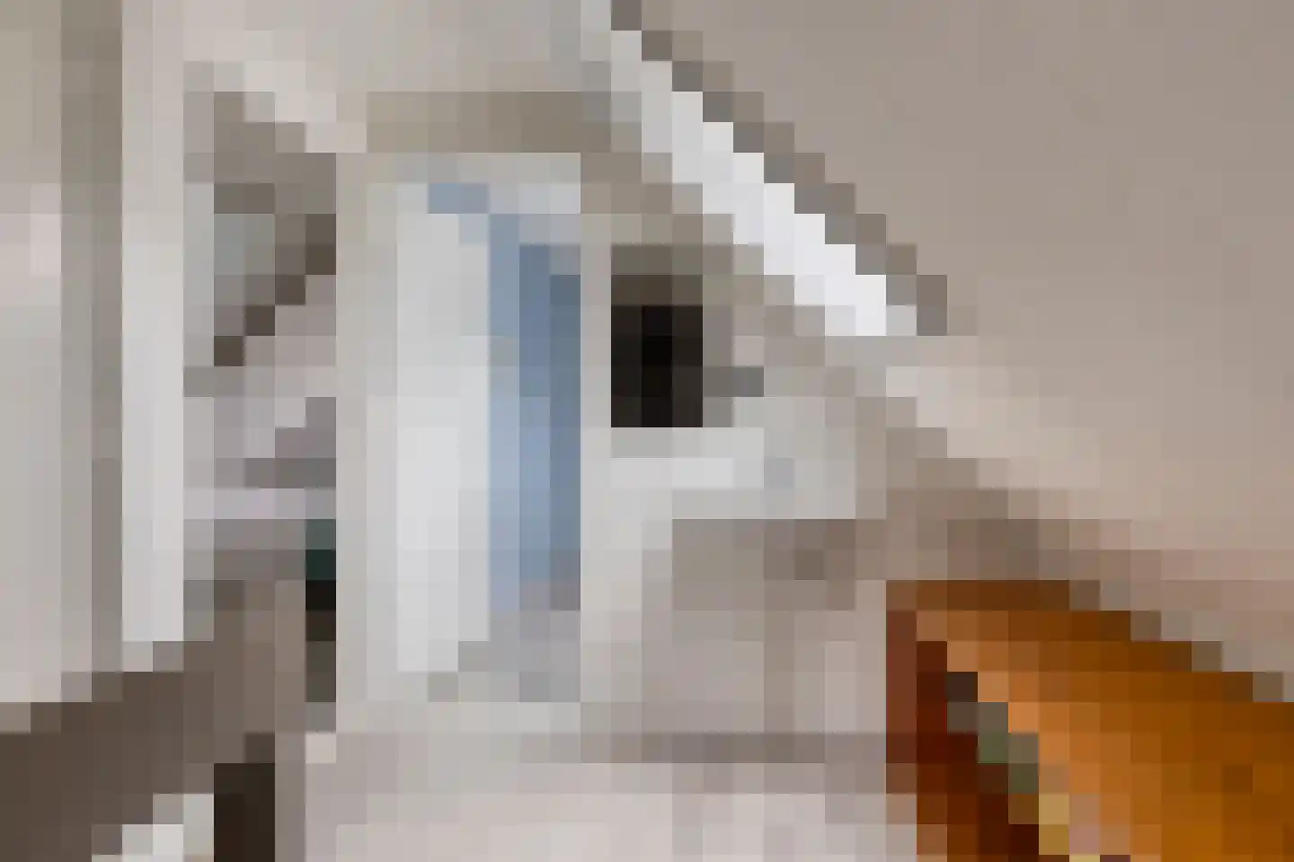 Oosterhuisweg 18 Makkinga thumbnail 25