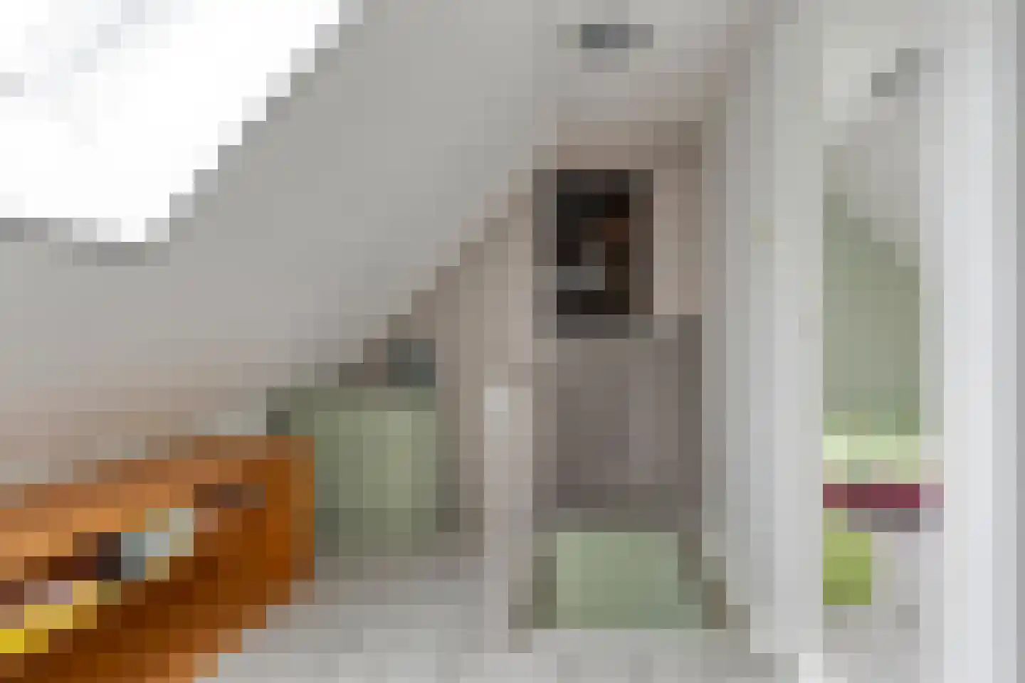Oosterhuisweg 18 Makkinga thumbnail 26