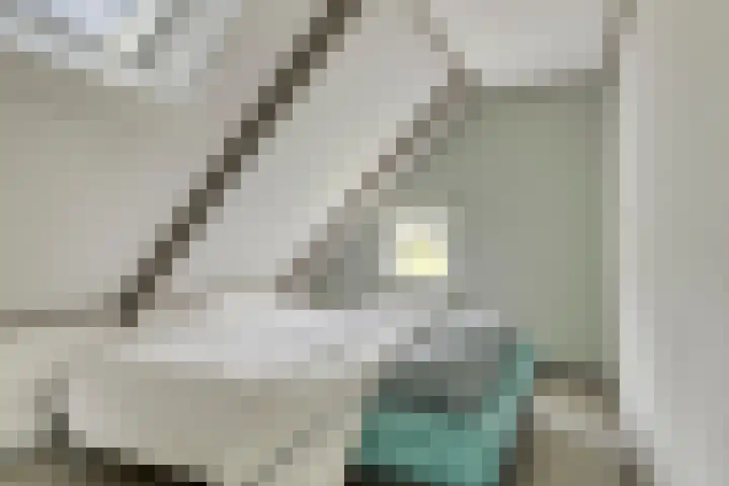 Oosterhuisweg 18 Makkinga thumbnail 27