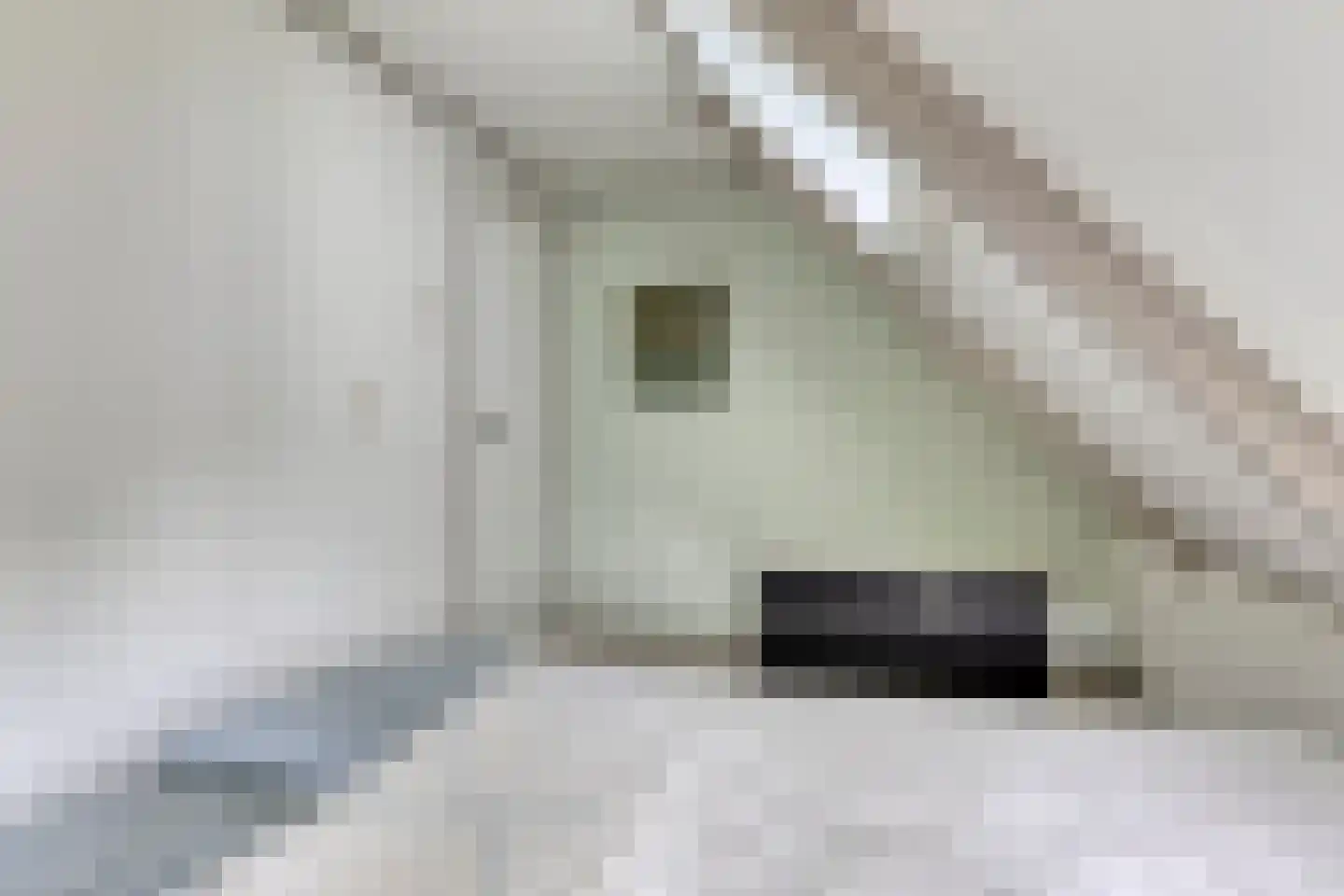 Oosterhuisweg 18 Makkinga thumbnail 28