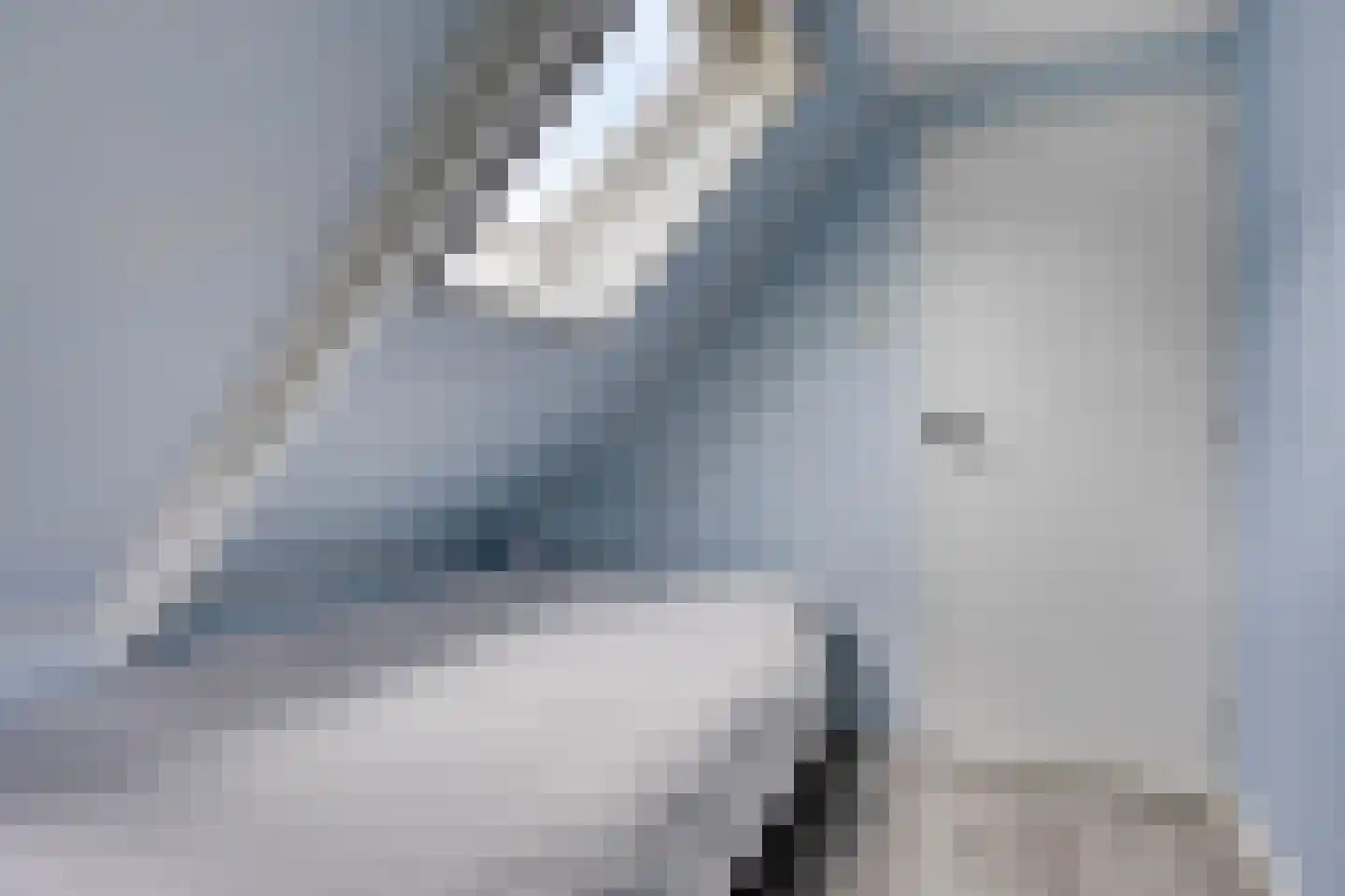 Oosterhuisweg 18 Makkinga thumbnail 30