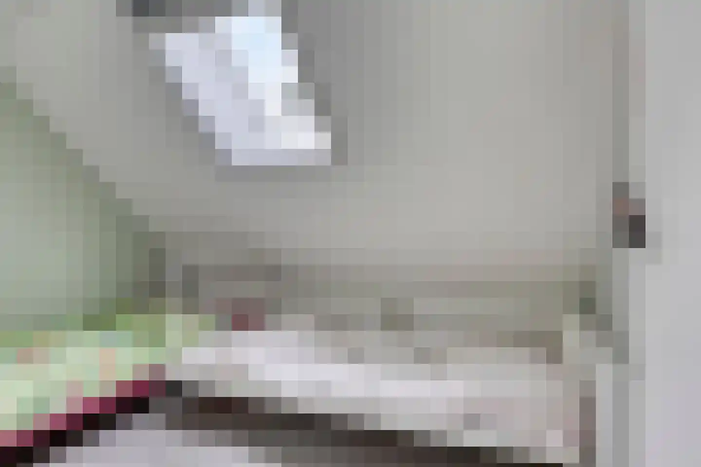 Oosterhuisweg 18 Makkinga thumbnail 31