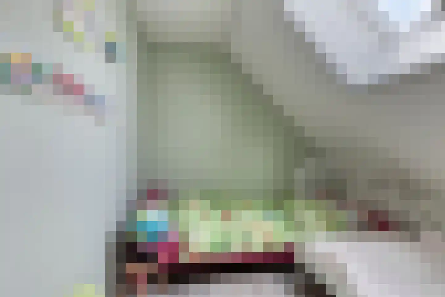 Oosterhuisweg 18 Makkinga thumbnail 32
