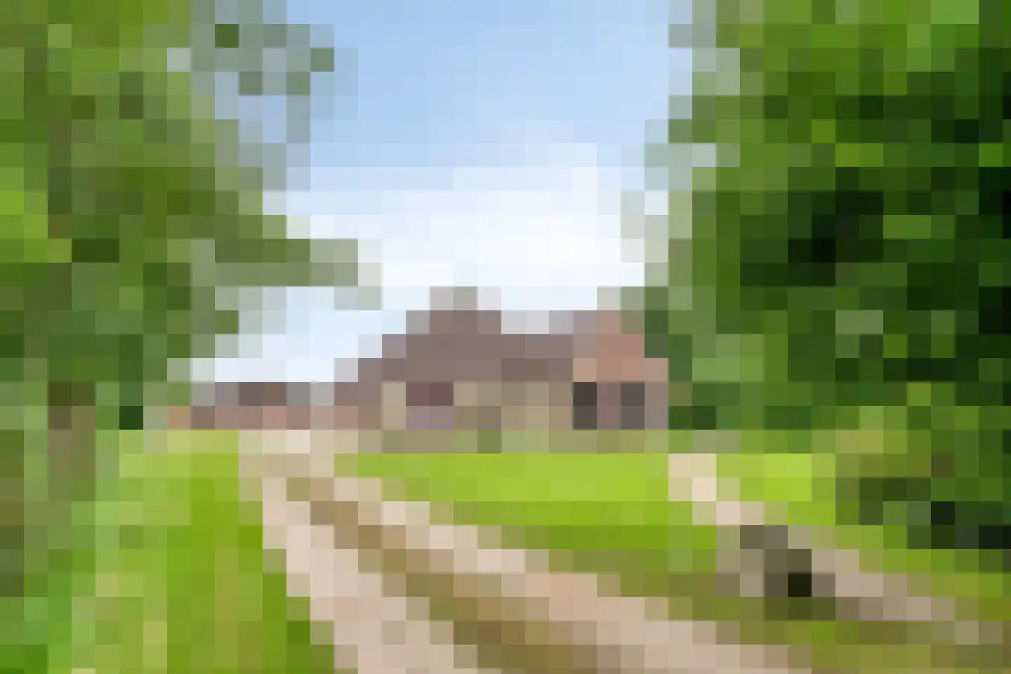 Oosterhuisweg 18 Makkinga thumbnail 4