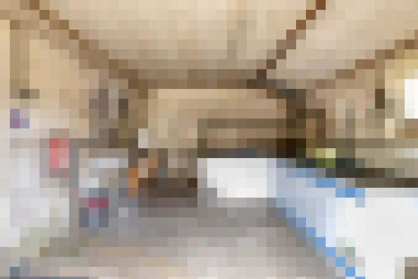 Oosterhuisweg 18 Makkinga thumbnail 47