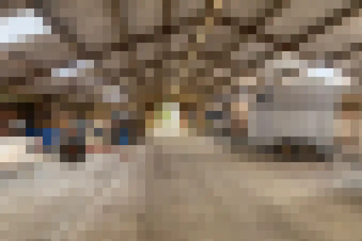 Oosterhuisweg 18 Makkinga thumbnail 48