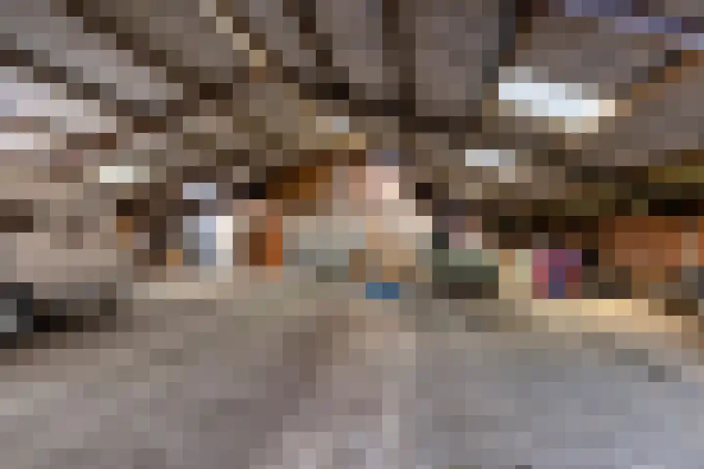 Oosterhuisweg 18 Makkinga thumbnail 49