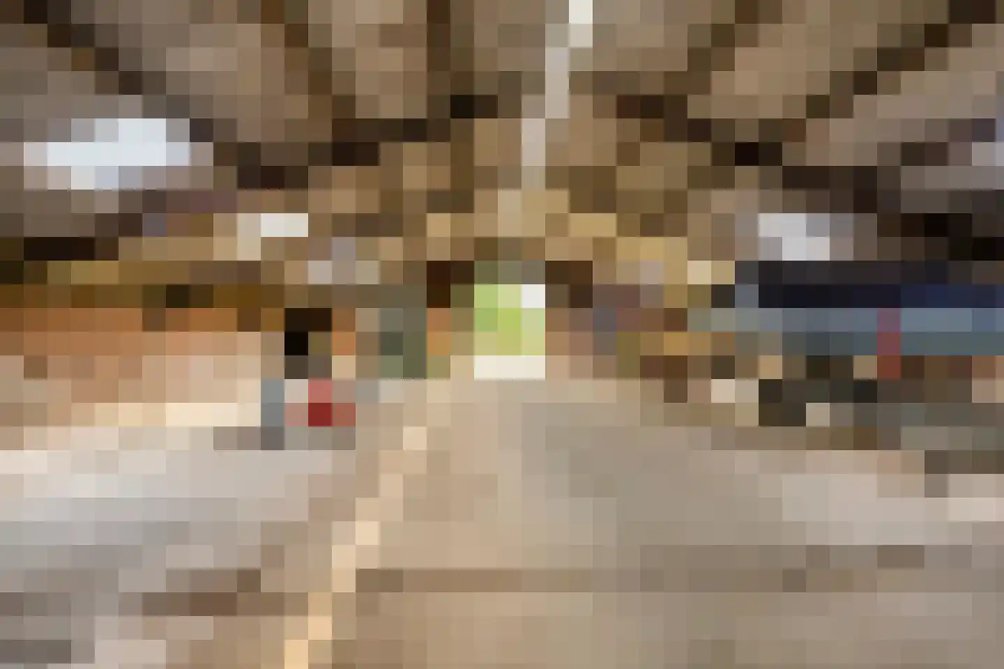Oosterhuisweg 18 Makkinga thumbnail 50