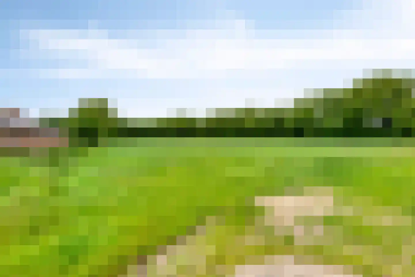 Oosterhuisweg 18 Makkinga thumbnail 54