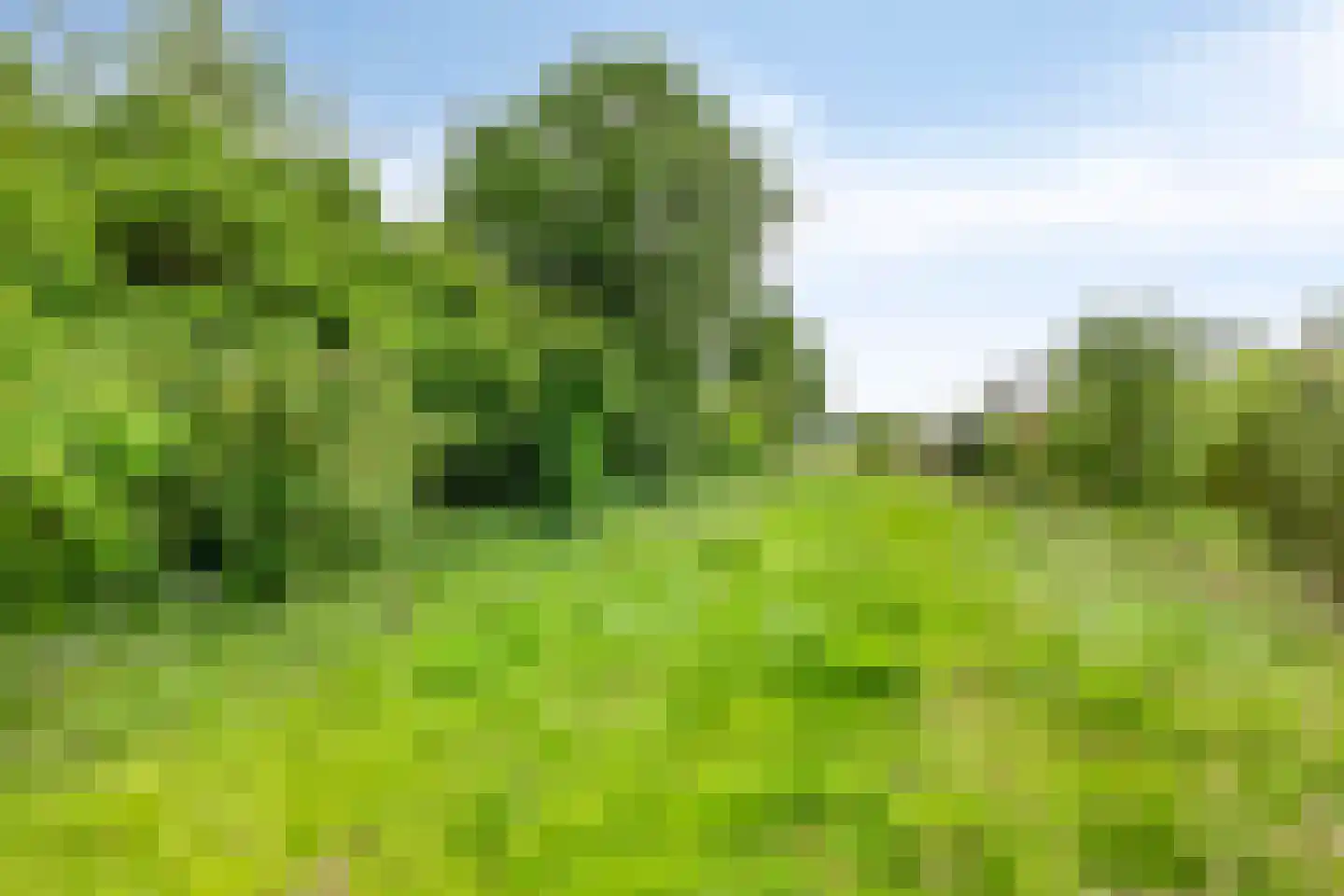 Oosterhuisweg 18 Makkinga thumbnail 59