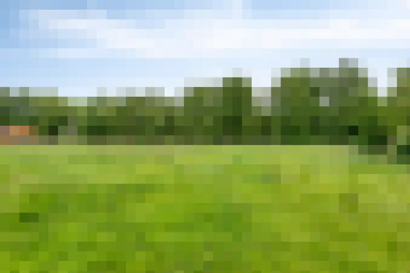 Oosterhuisweg 18 Makkinga thumbnail 60