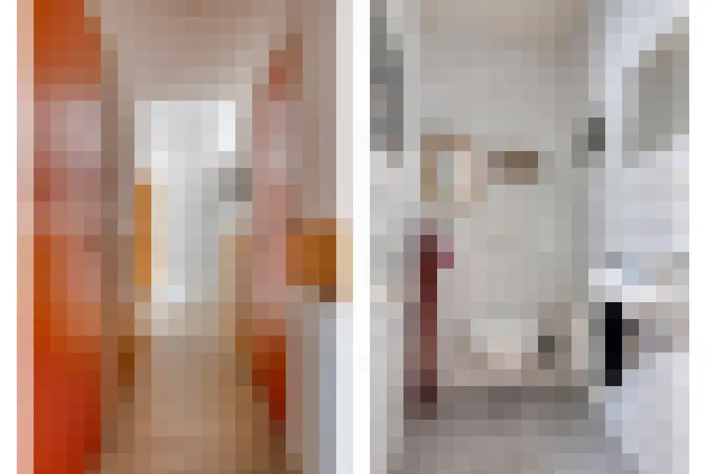 Oosterhuisweg 18 Makkinga thumbnail 7