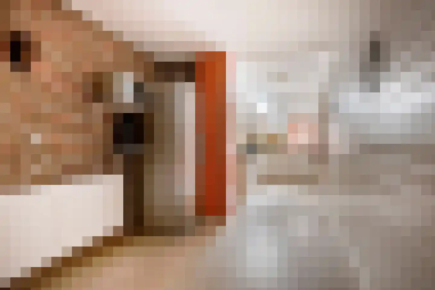 Oosterhuisweg 18 Makkinga thumbnail 8
