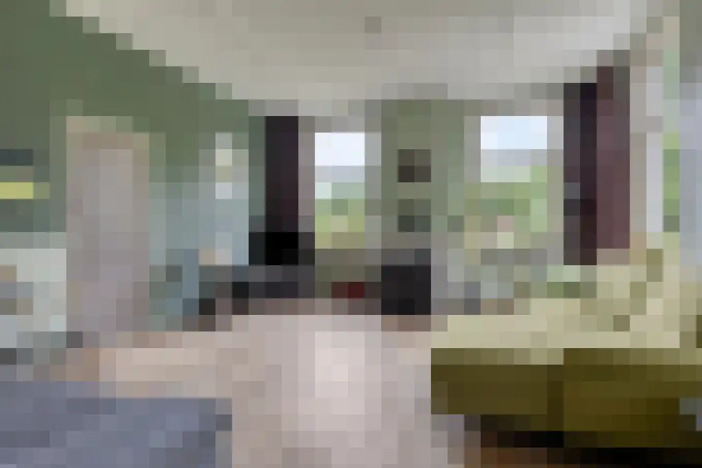 Oosterhuisweg 18 Makkinga thumbnail 9
