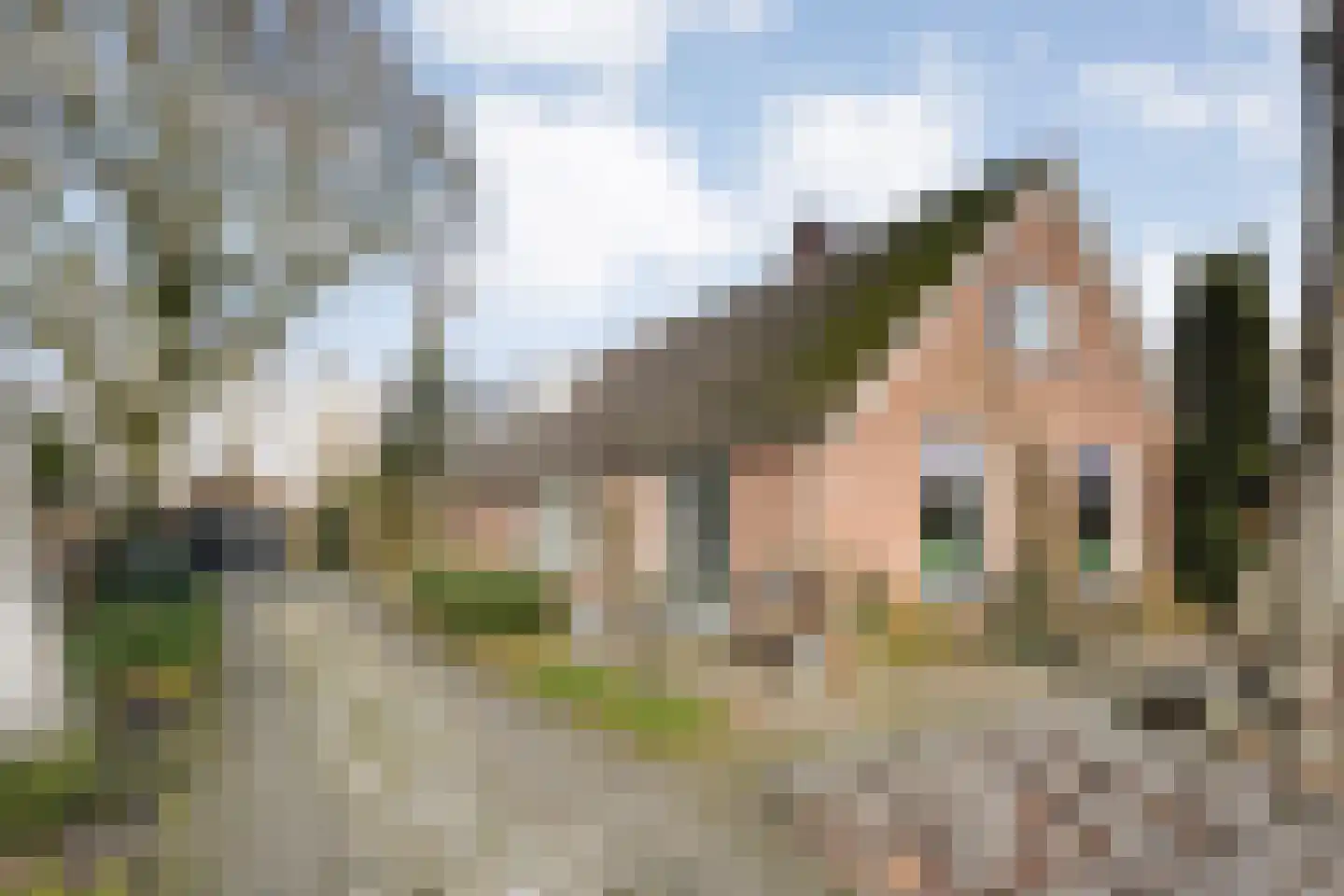 Oosterhulst 10 en Nieuwleusen