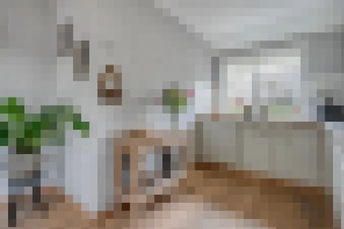 Oosterhulst 10 Nieuwleusen thumbnail 14