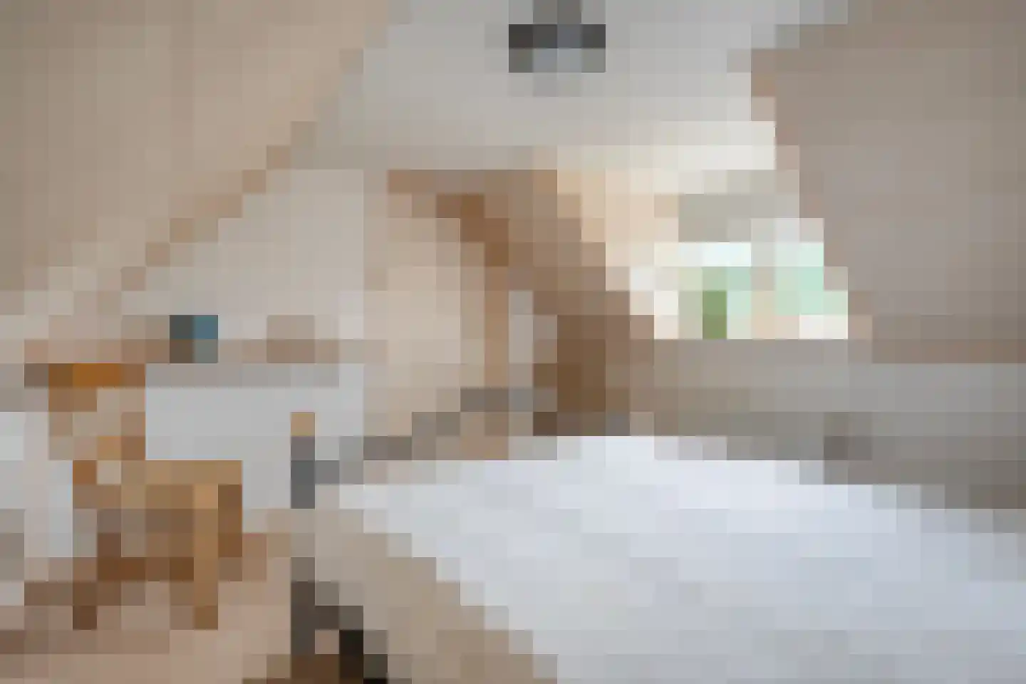 Oosterhulst 10 Nieuwleusen thumbnail 25