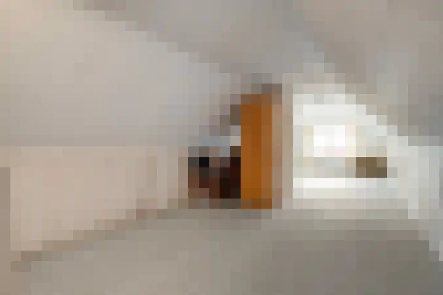Oosterhulst 10 Nieuwleusen thumbnail 26
