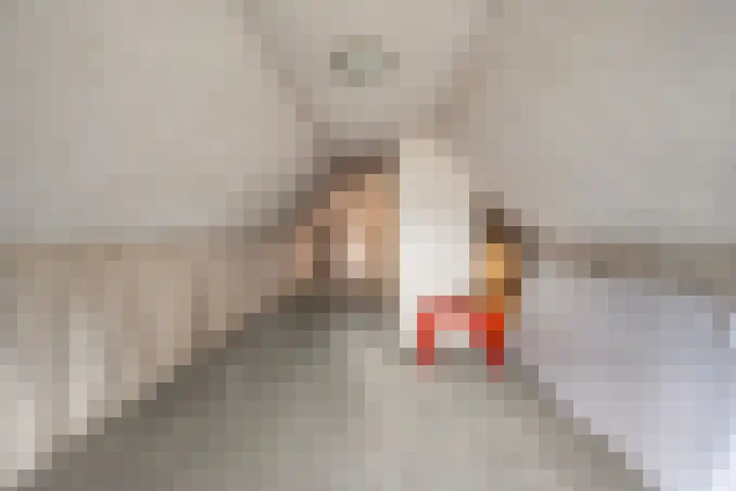 Oosterhulst 10 Nieuwleusen thumbnail 27