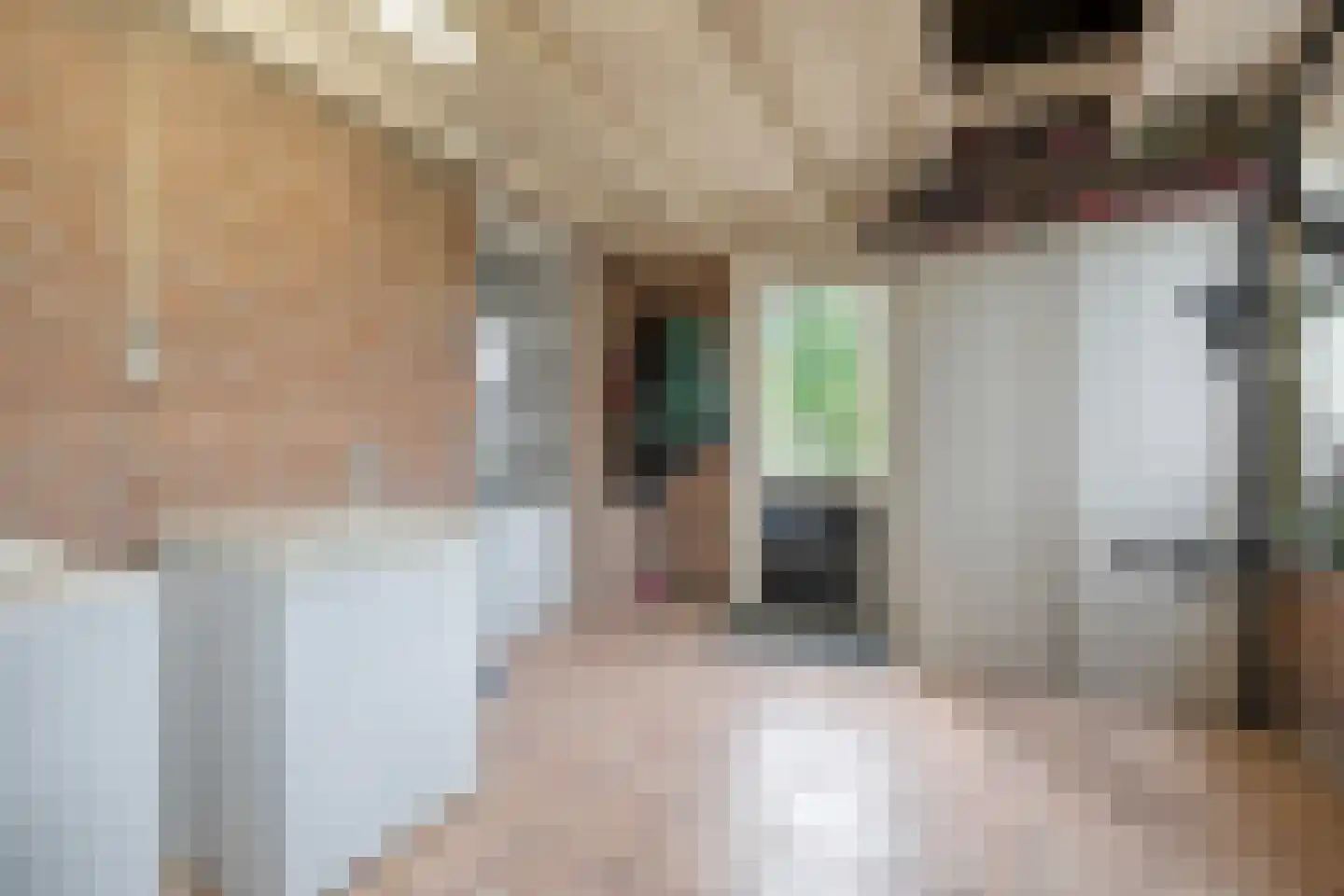 Oosterhulst 10 Nieuwleusen thumbnail 29