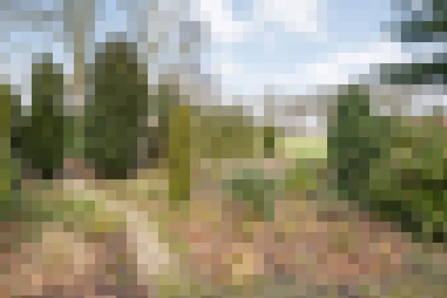 Oosterhulst 10 Nieuwleusen thumbnail 30