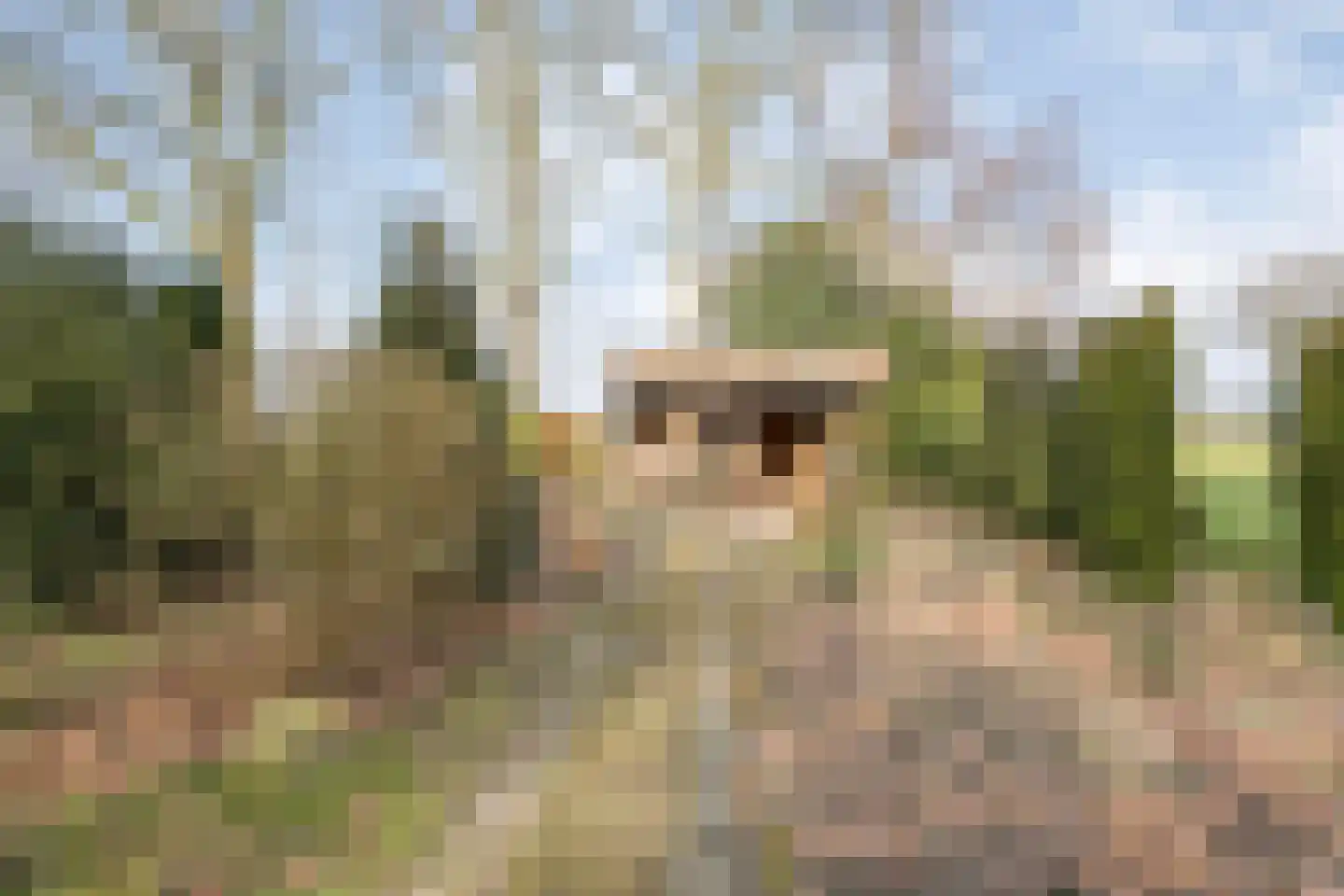 Oosterhulst 10 Nieuwleusen thumbnail 31