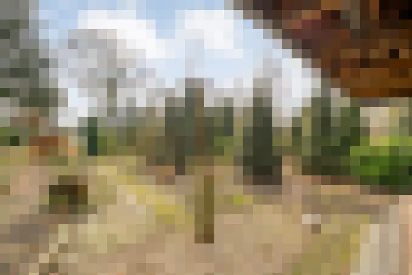 Oosterhulst 10 Nieuwleusen thumbnail 32