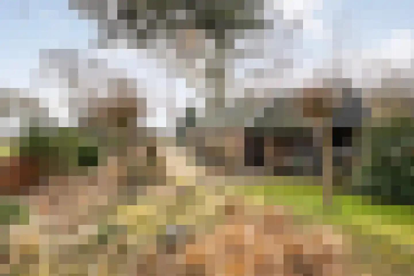 Oosterhulst 10 Nieuwleusen thumbnail 35