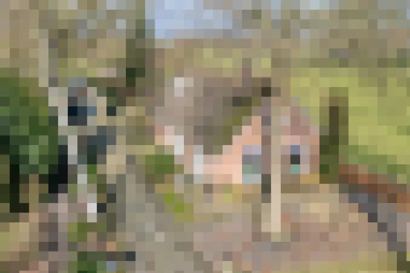 Oosterhulst 10 Nieuwleusen thumbnail 6