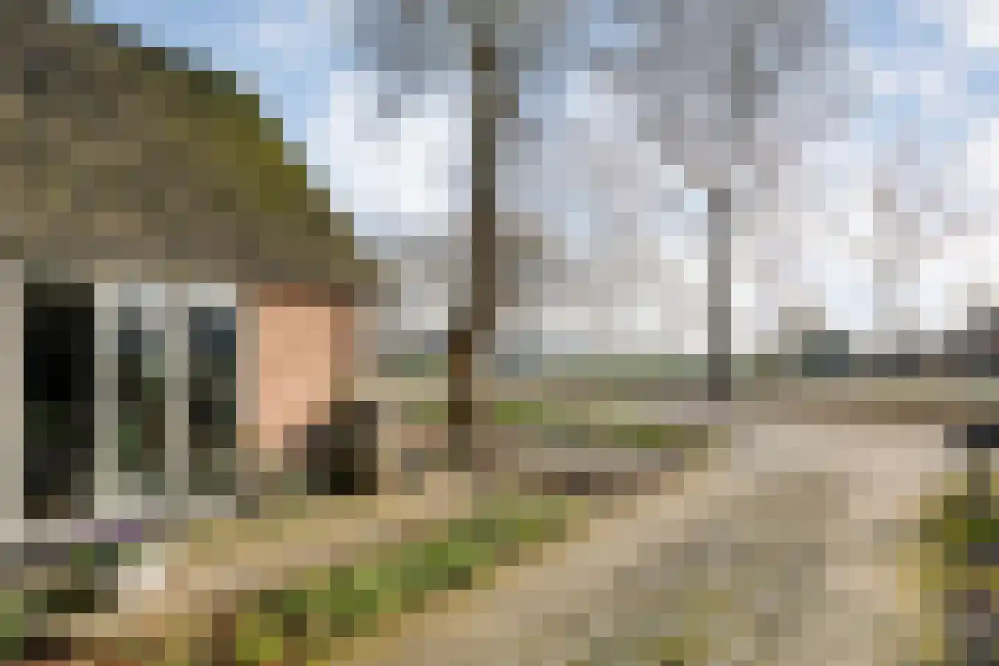 Oosterhulst 10 Nieuwleusen thumbnail 8