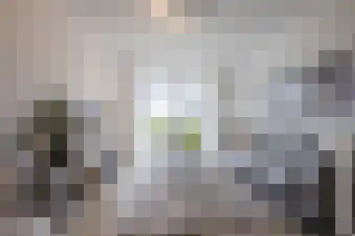Oosterhulst 51 Nieuwleusen thumbnail 10