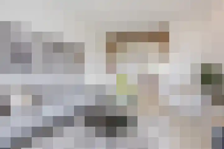 Oosterhulst 51 Nieuwleusen thumbnail 12