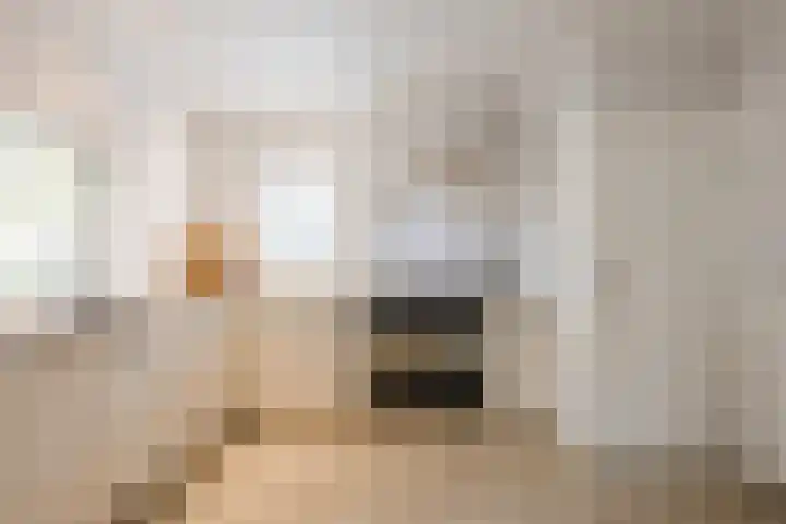 Oosterhulst 51 Nieuwleusen thumbnail 16