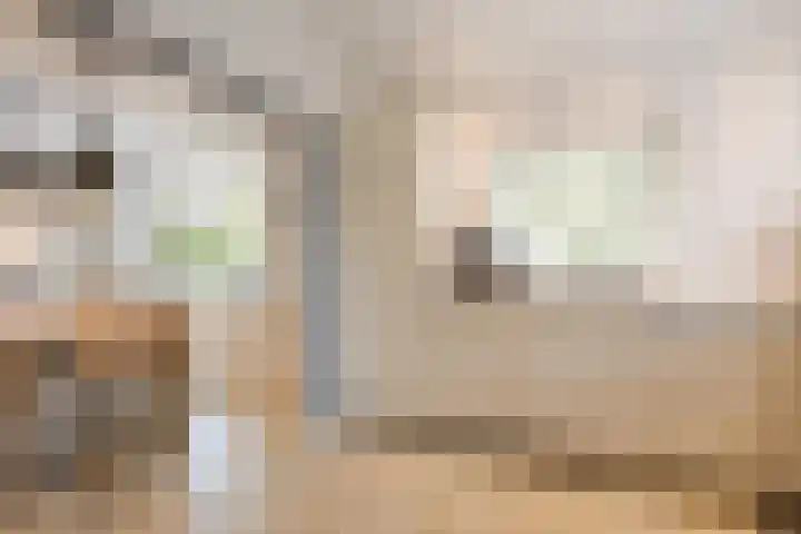 Oosterhulst 51 Nieuwleusen thumbnail 17